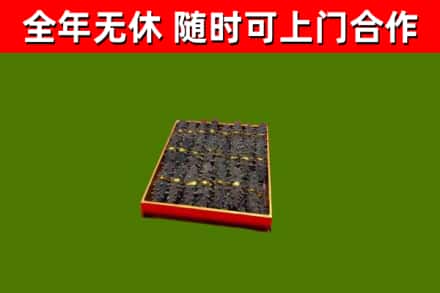 南阳市回收海参
